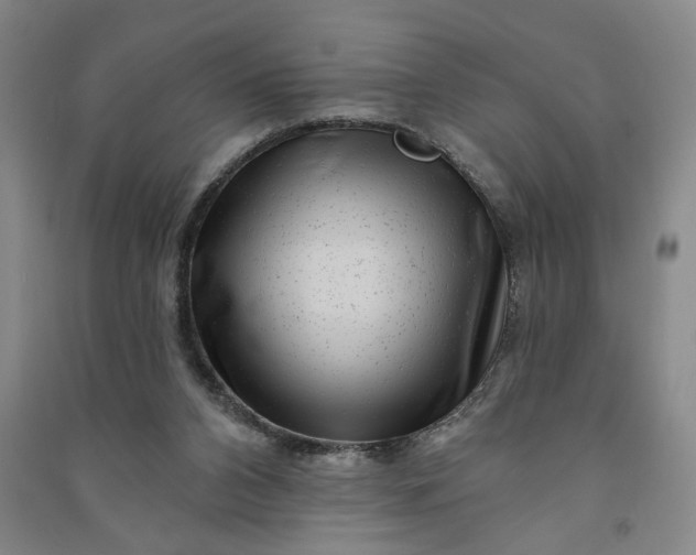 X0000090950112200708161804