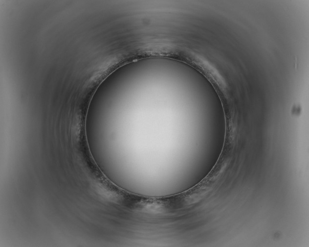 X0000090950113200708161804