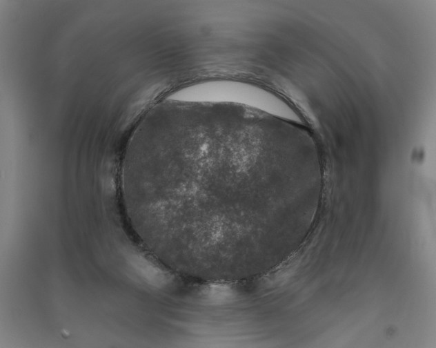 X0000090950114200708161804