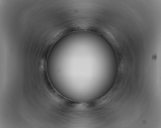 X0000090950122200708161804