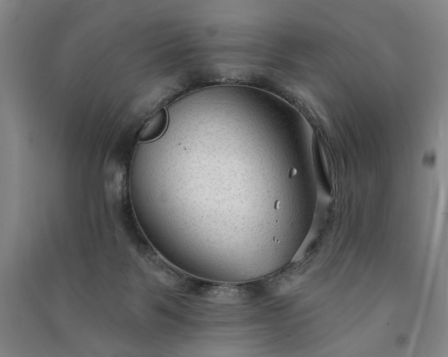 X0000090950123200708161804