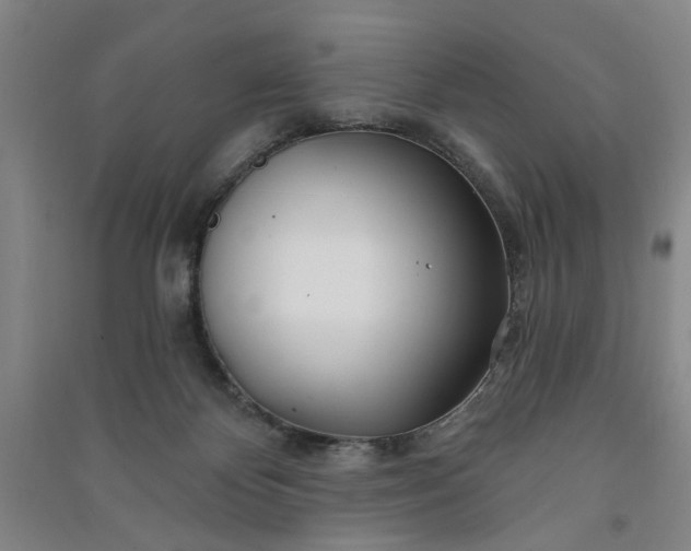 X0000090950124200708161804