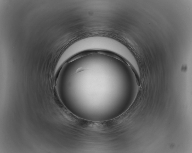 X0000090950125200708161804