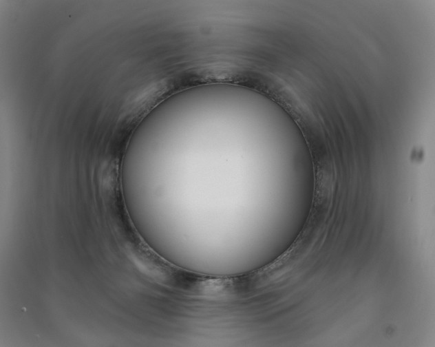 X0000090950126200708161804