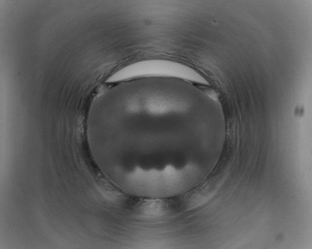 X0000090950127200708161804