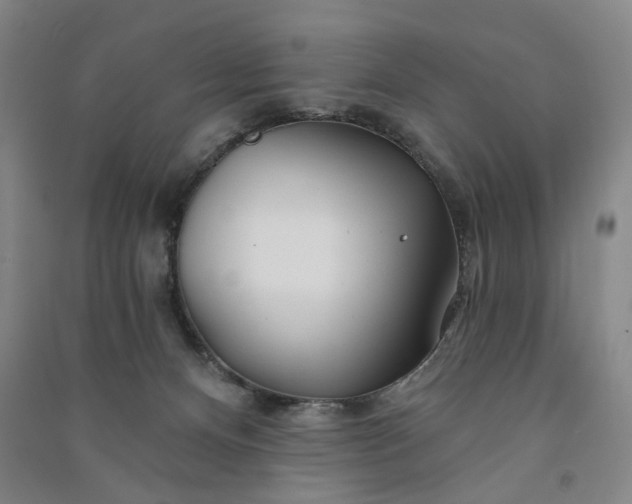 X0000090950128200708161804