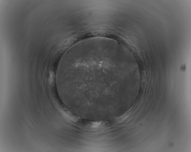 X0000090950130200708161803
