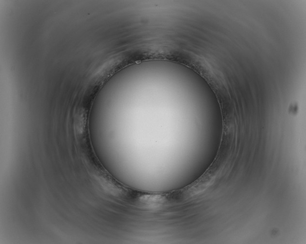 X0000090950133200708161803