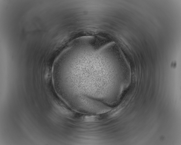 X0000090950134200708161803