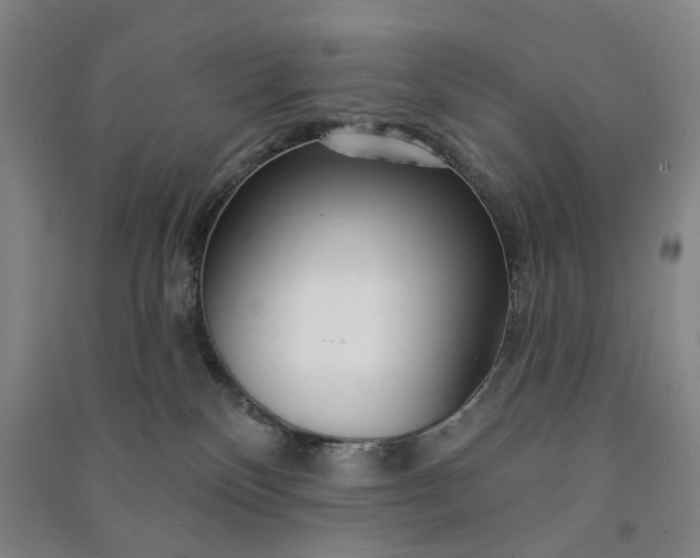 X0000090950136200708161803