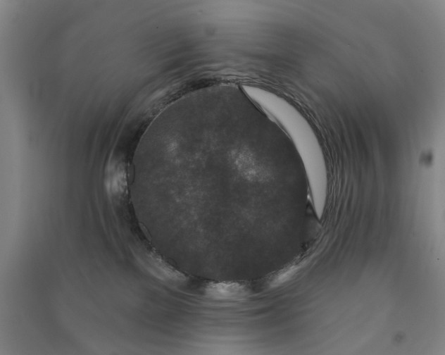 X0000090950137200708161803