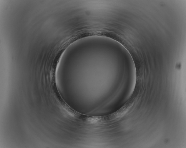 X0000090950139200708161803