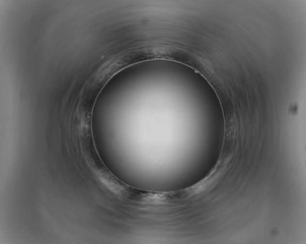 X0000090950140200708161803