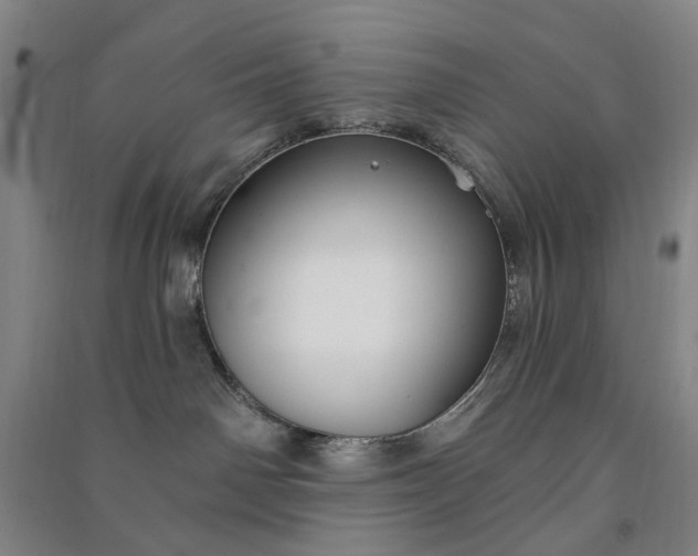 X0000090950142200708161803