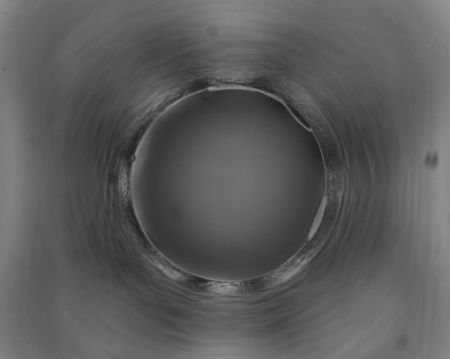 X0000090950143200708161803