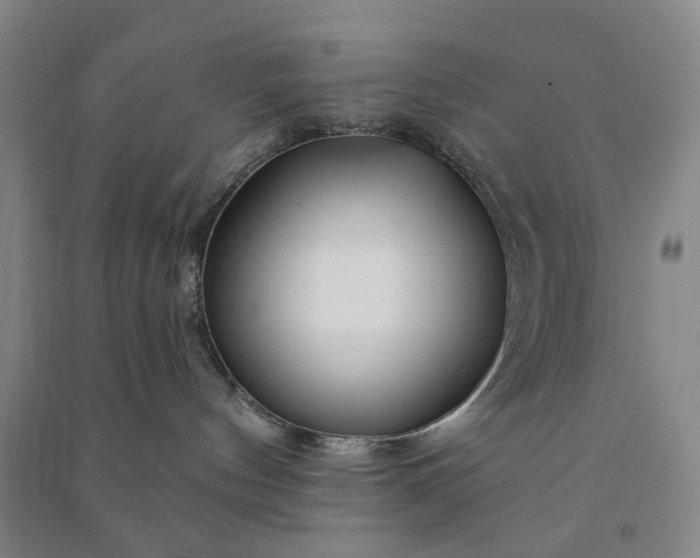 X0000090950144200708161803