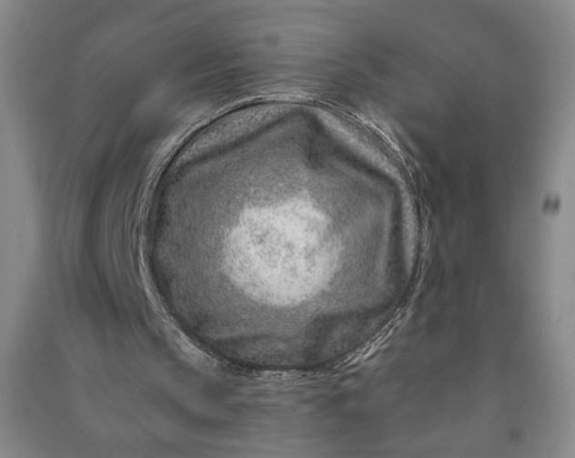 X0000090950145200708161803