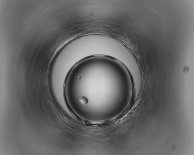 X0000090950146200708161803