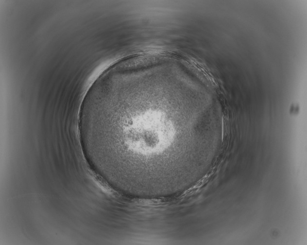 X0000090950147200708161803