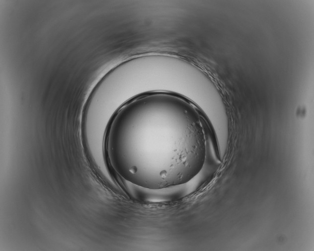 X0000090950148200708161803