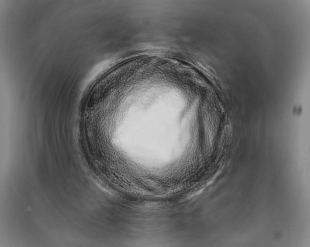 X0000090950149200708161803