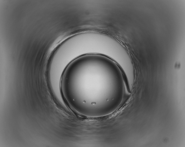 X0000090950150200708161803