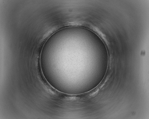 X0000090950153200708161803