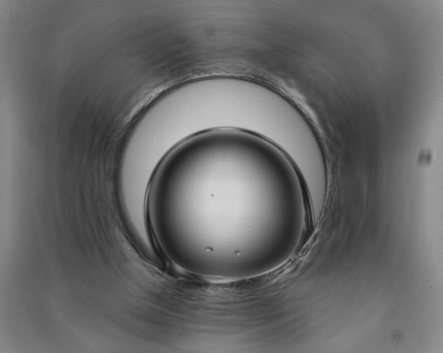 X0000090950154200708161803