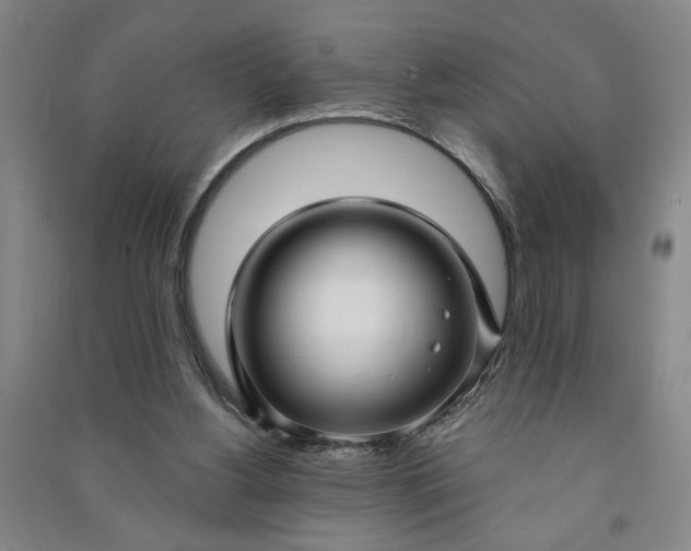X0000090950156200708161803