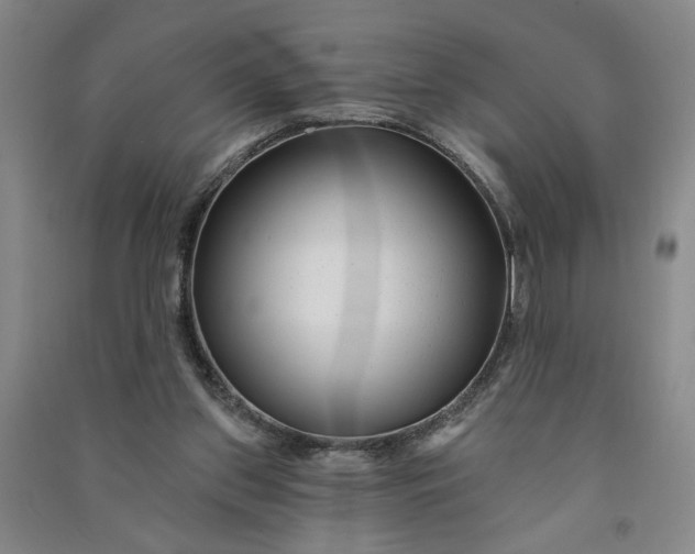 X0000090950157200708161803