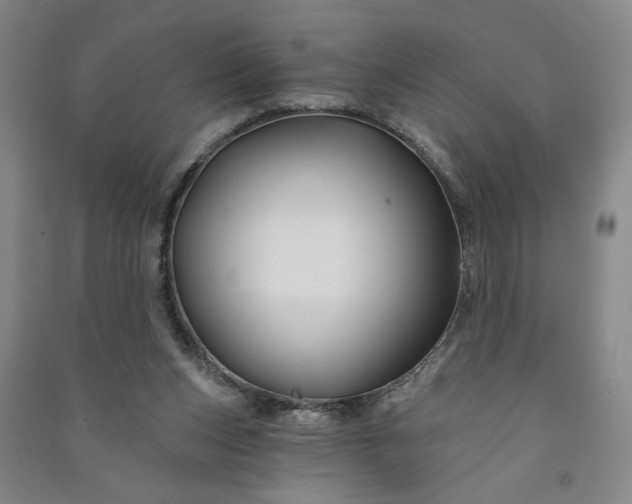 X0000090950159200708161803
