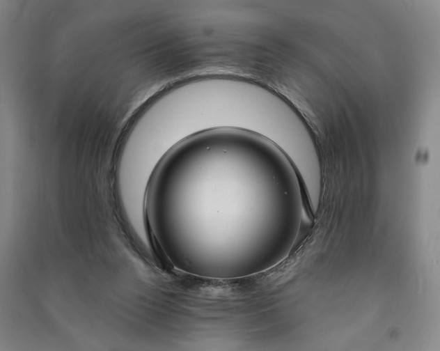 X0000090950160200708161803