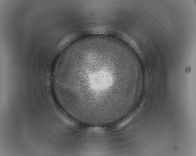 X0000090950161200708161803