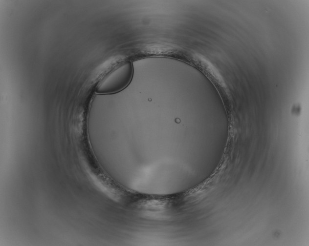 X0000090950163200708161803
