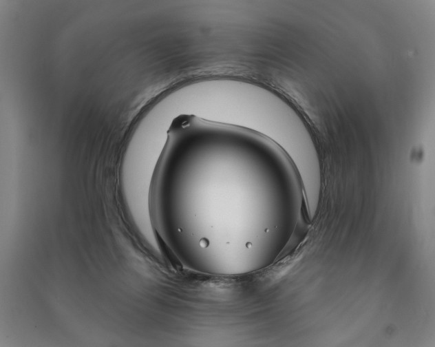 X0000090950164200708161803
