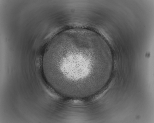 X0000090950165200708161803