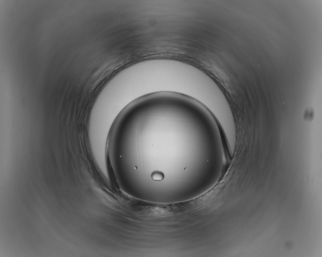 X0000090950166200708161803