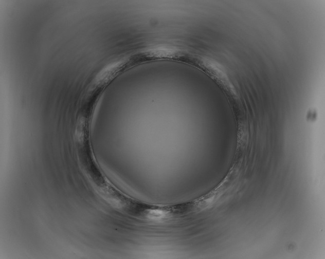X0000090950167200708161803