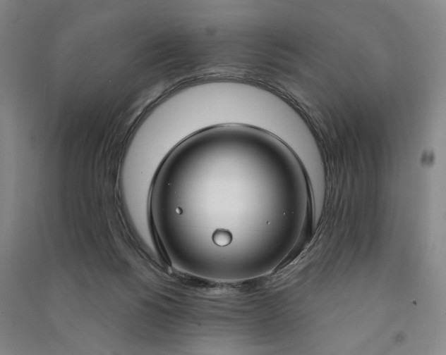 X0000090950168200708161803