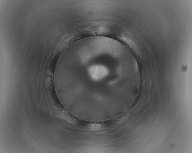 X0000090950169200708161803