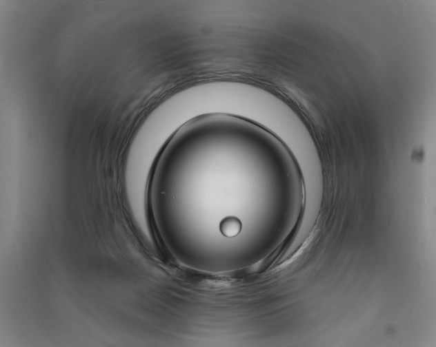 X0000090950170200708161803