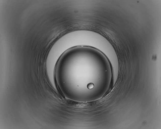 X0000090950172200708161803