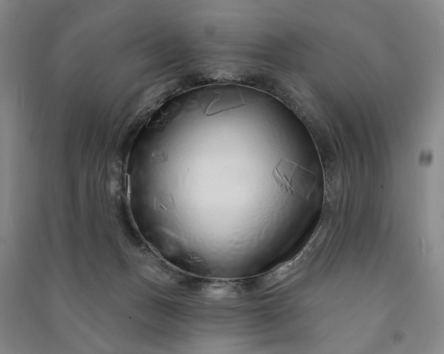 X0000090950175200708161803