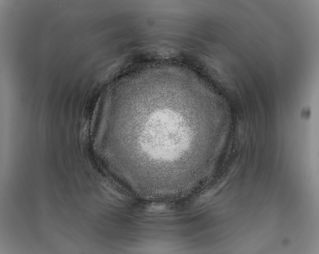 X0000090950177200708161803