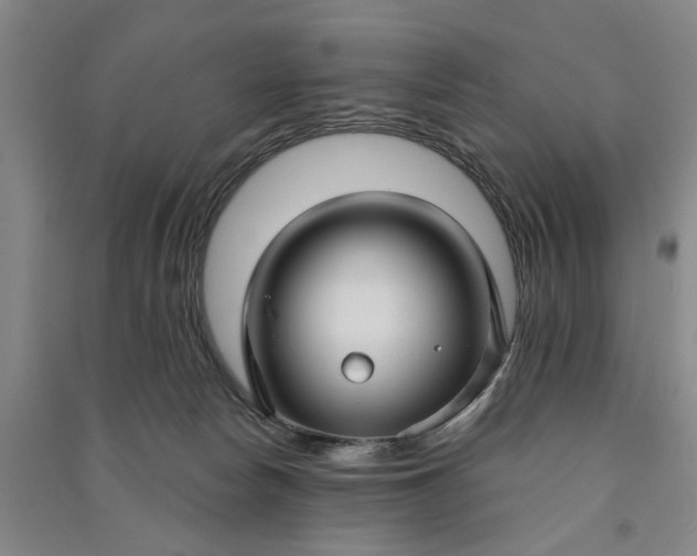X0000090950178200708161803