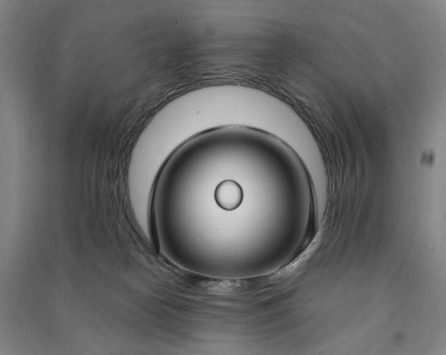 X0000090950182200708161803