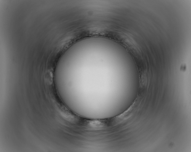 X0000090950183200708161803