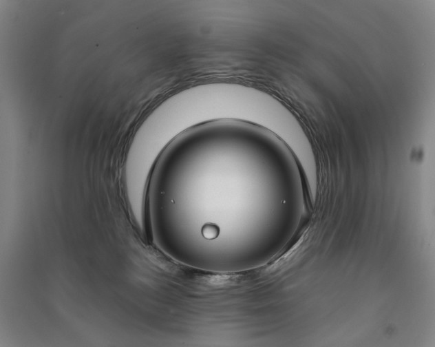 X0000090950184200708161803