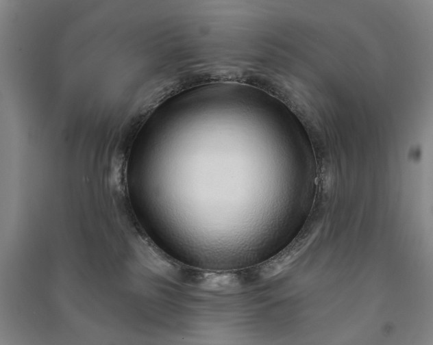 X0000090950185200708161803