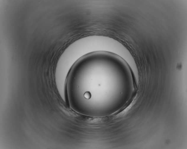 X0000090950186200708161803